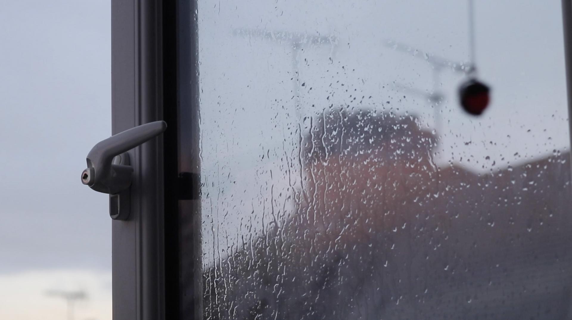 Celeste Winter | Fine Art 2