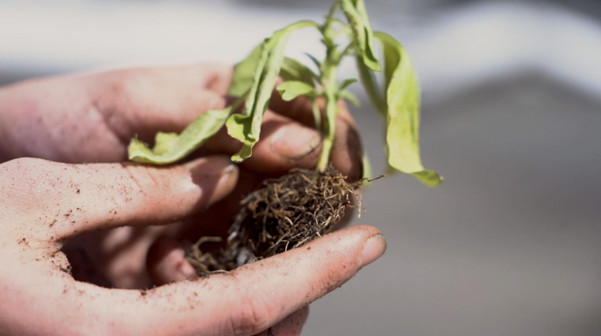 Heather Tennant | Fine Art 3