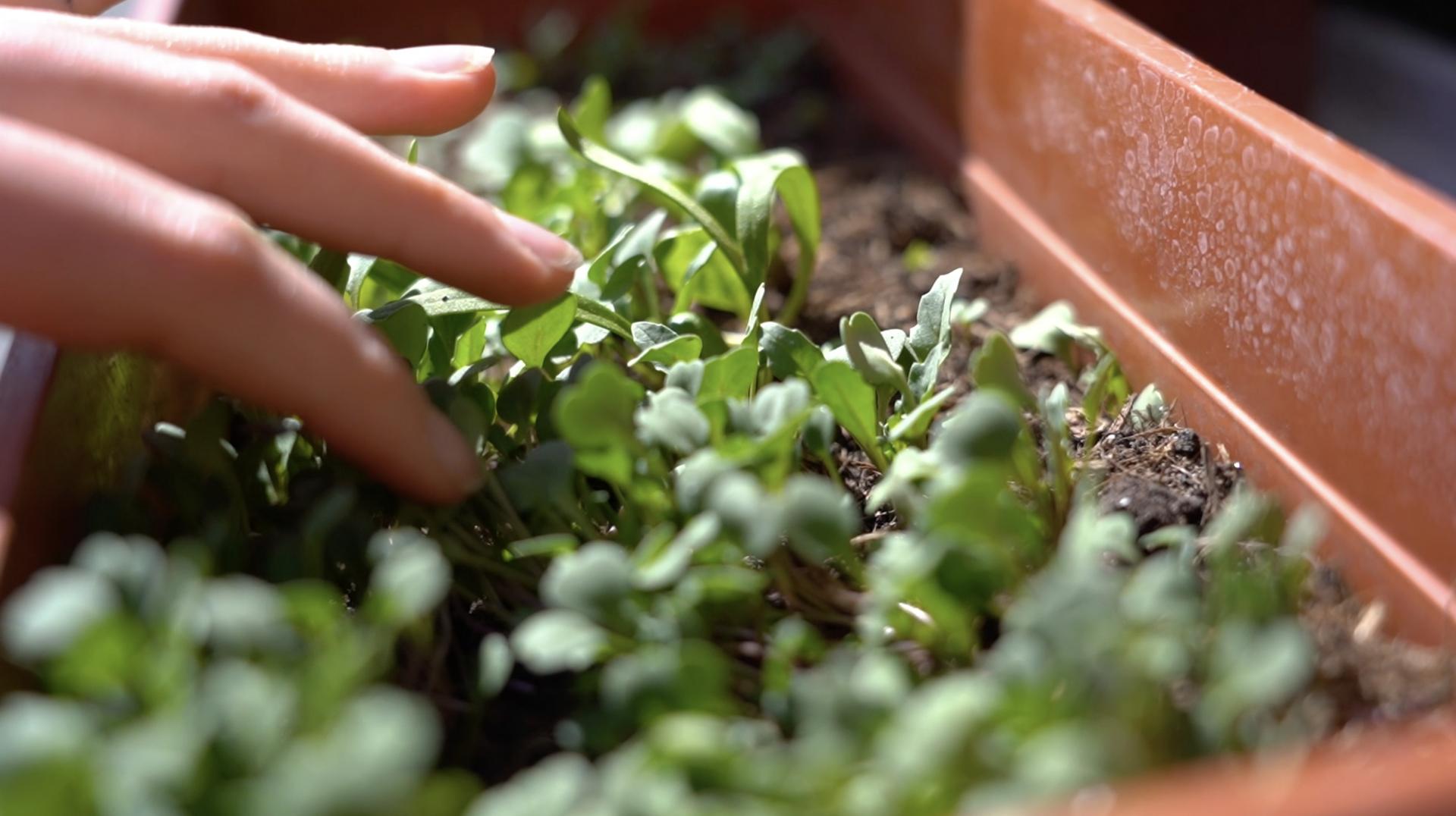 Heather Tennant | Fine Art 4