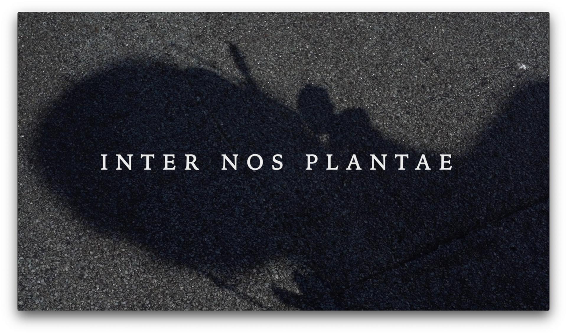 Heather Tennant | Fine Art 1