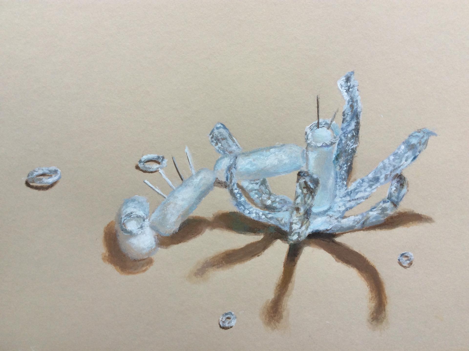 Isobelle Munckton | Pre-degree & Foundation Studies 2