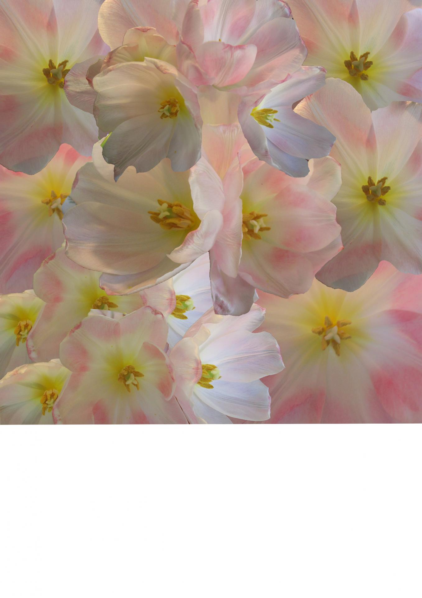 Rosanna Edge | Textiles 4