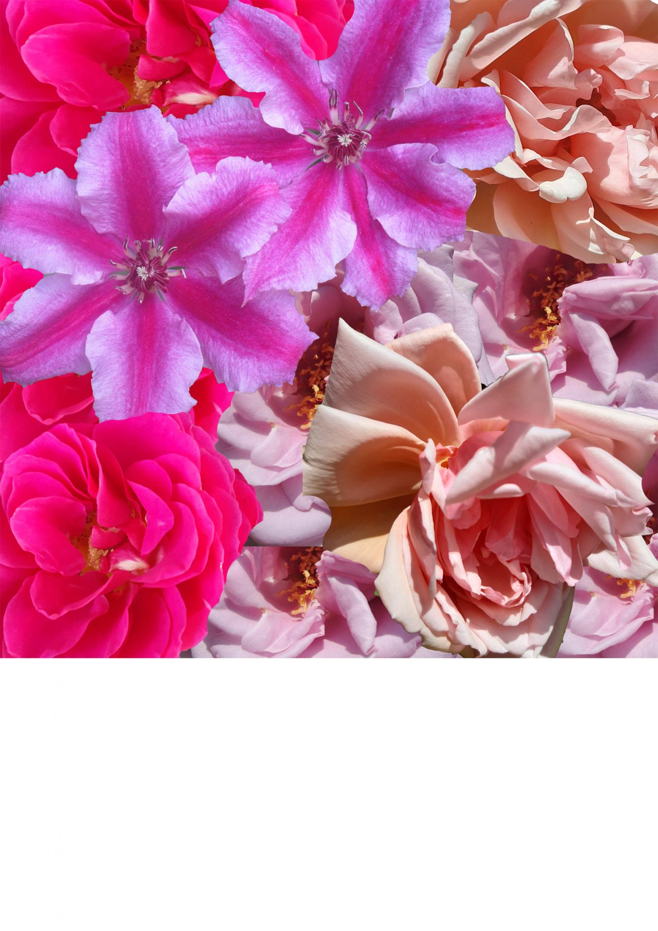 Rosanna Edge | Textiles 1