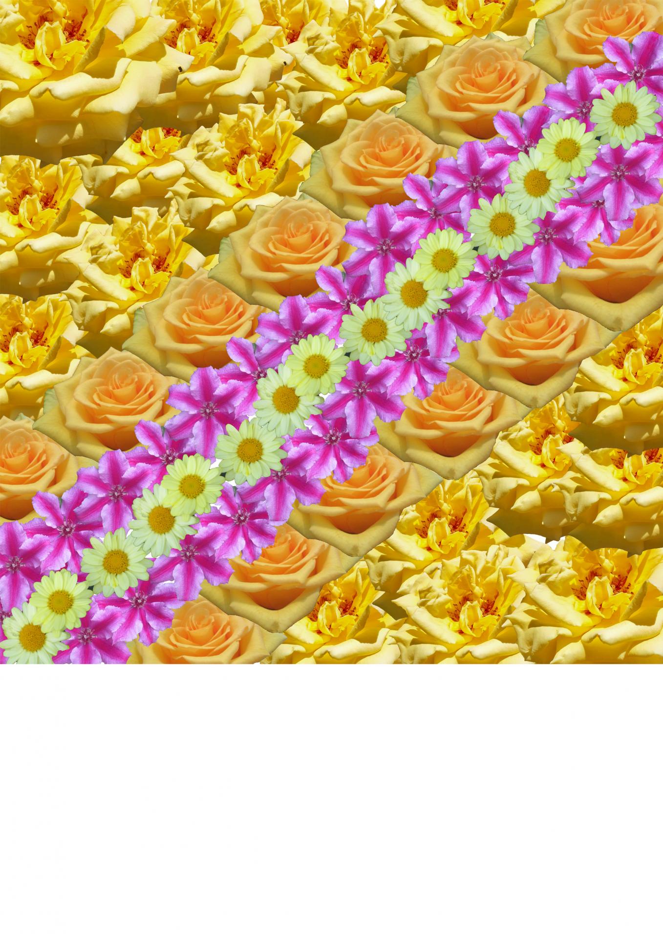 Rosanna Edge | Textiles 3