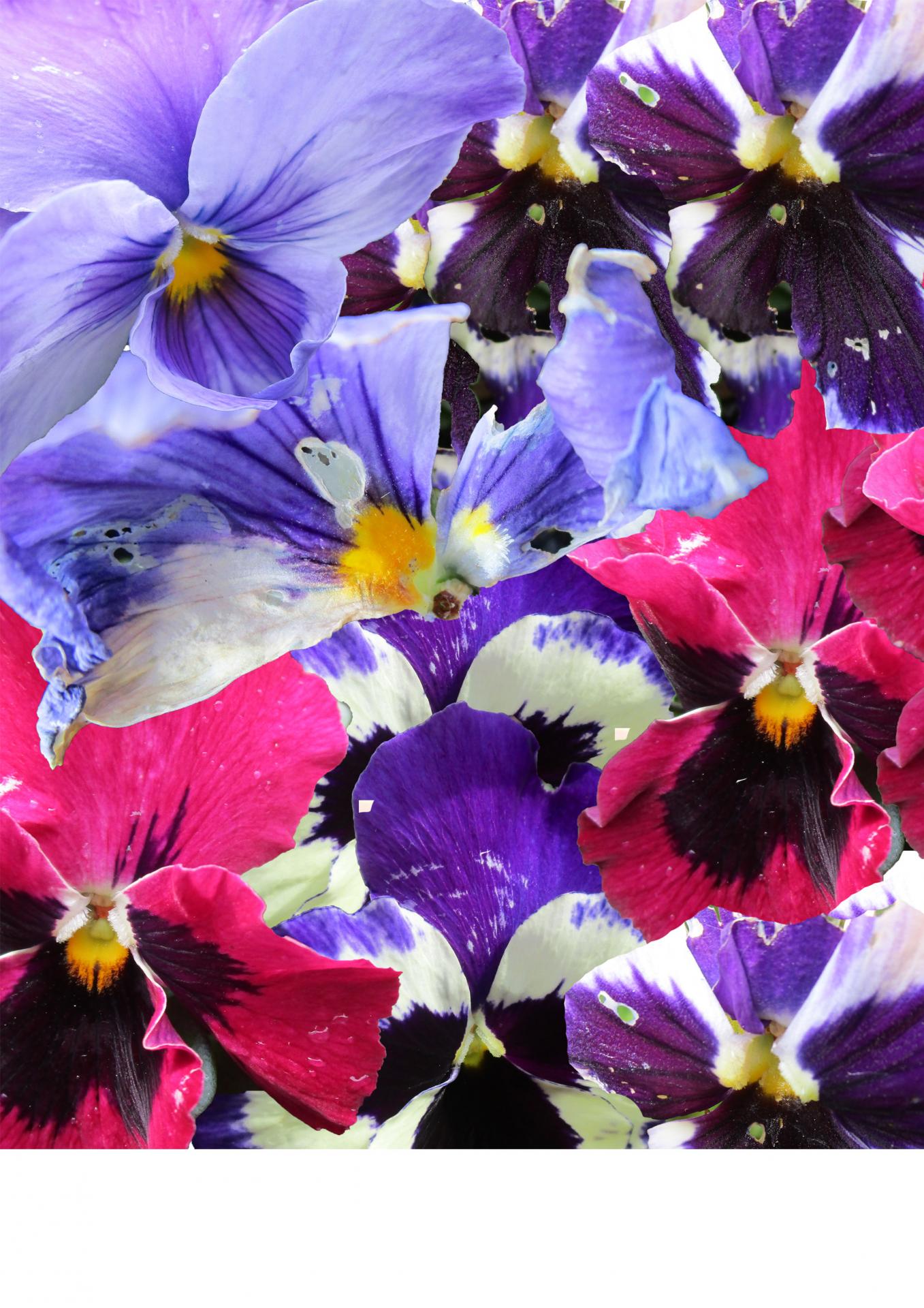 Rosanna Edge | Textiles