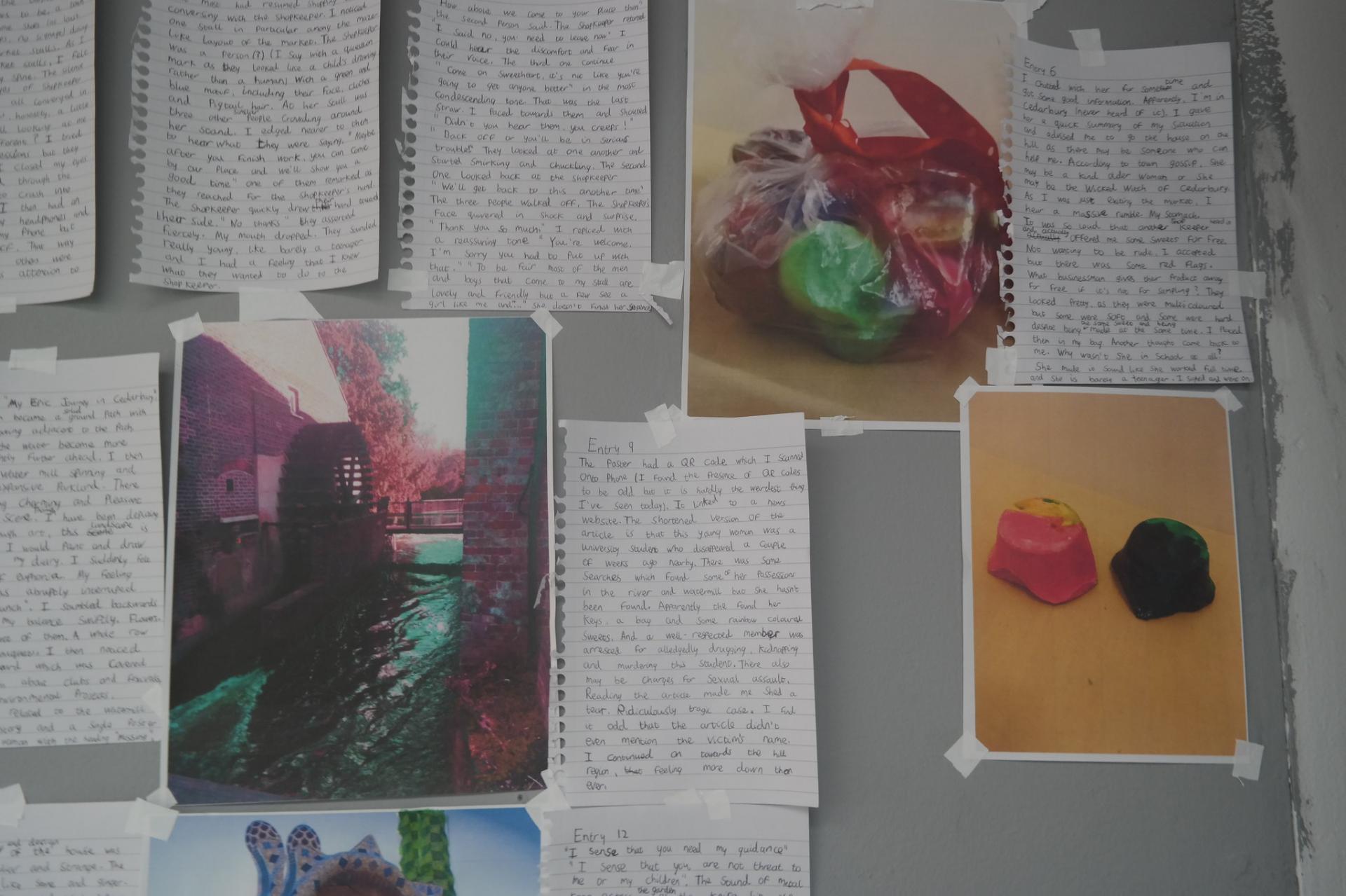 Serena Williams | Pre-degree & Foundation Studies 4