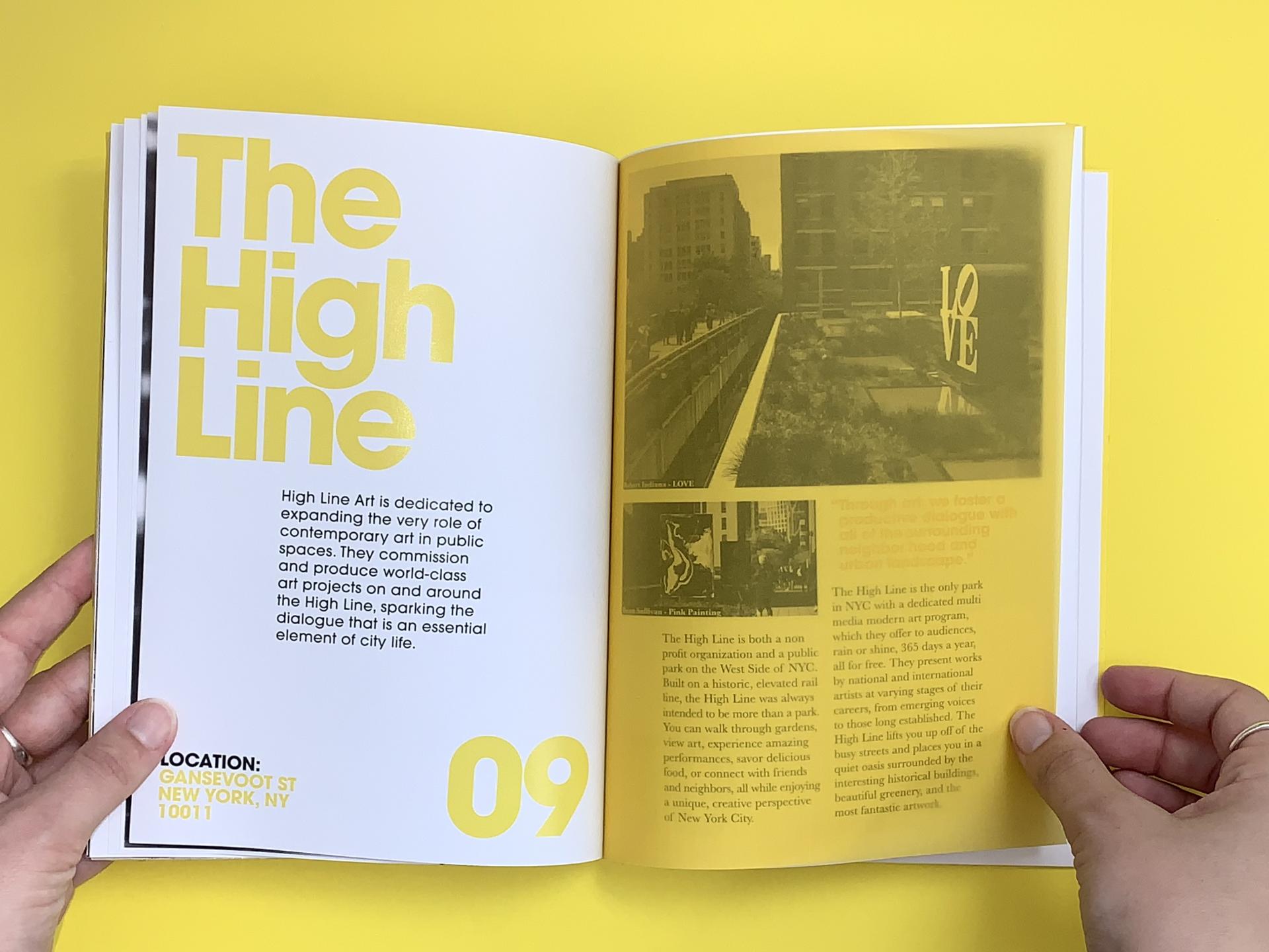 Lara Thurgood | Graphic Design 3