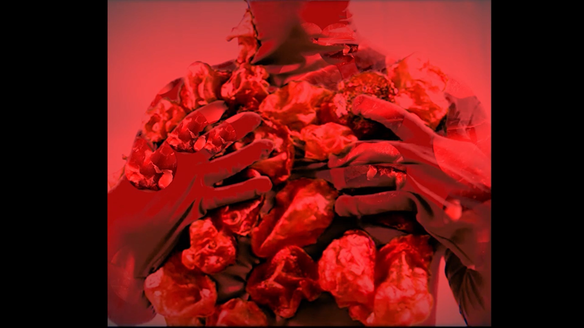 Anna Stevens | Fine Art