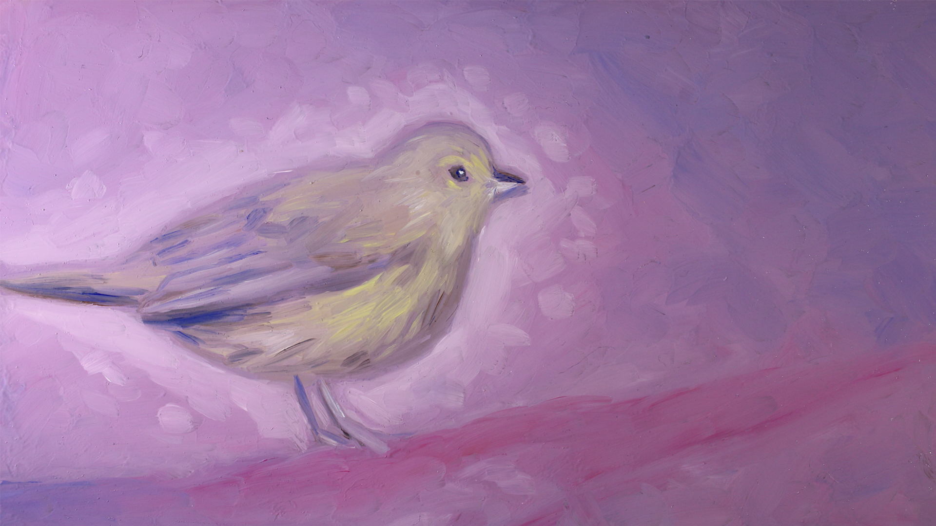 Tilly Wallace | Animation 3