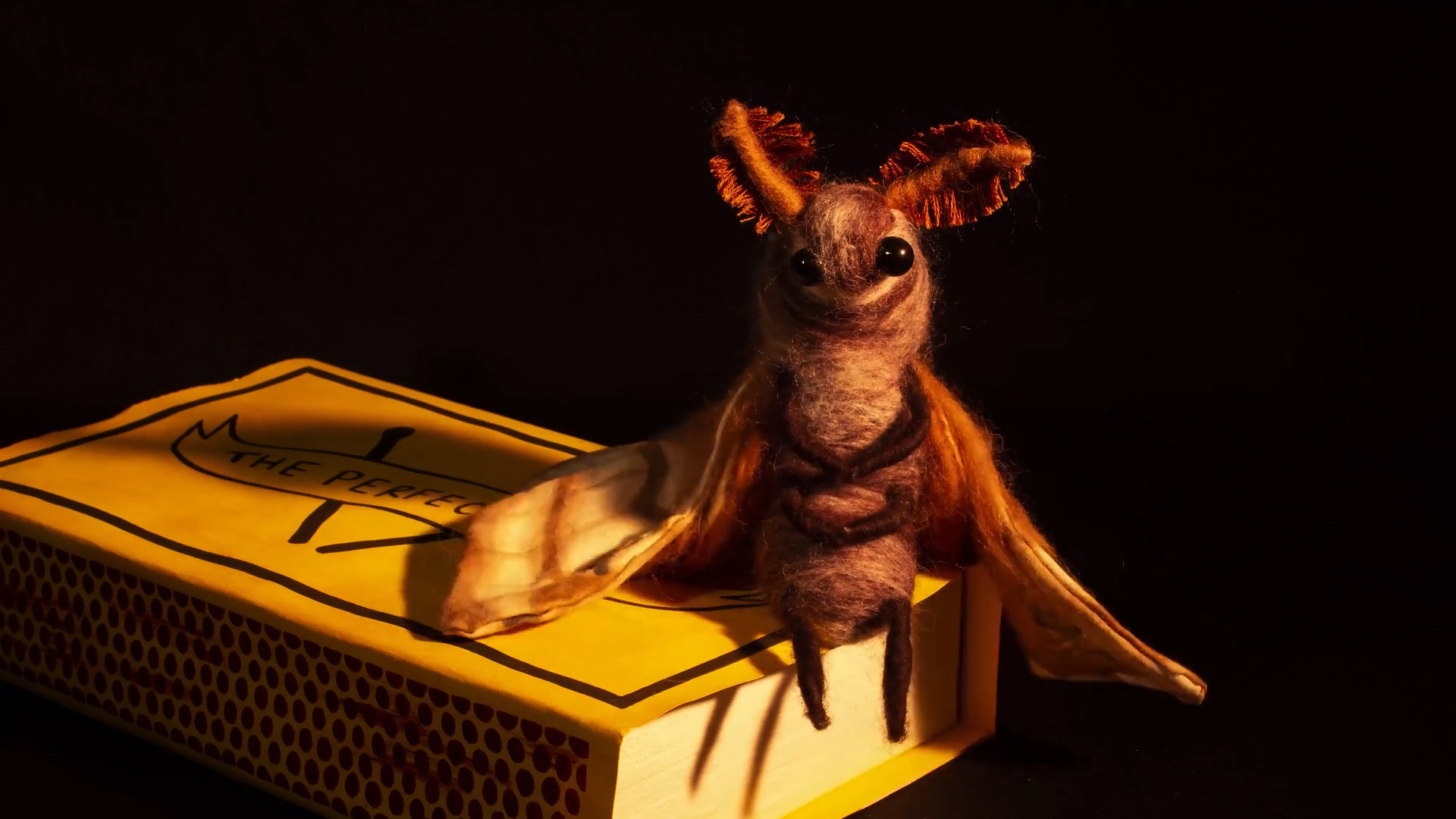 Molly Mayhew | Animation 5