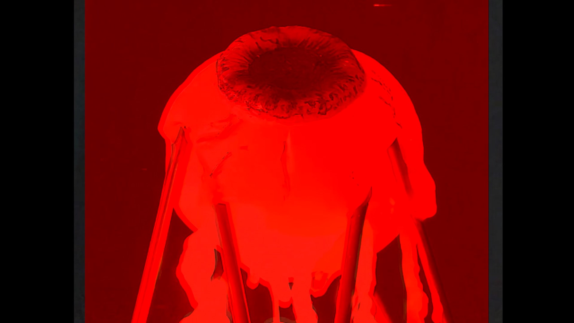 Anna Stevens | Fine Art 3