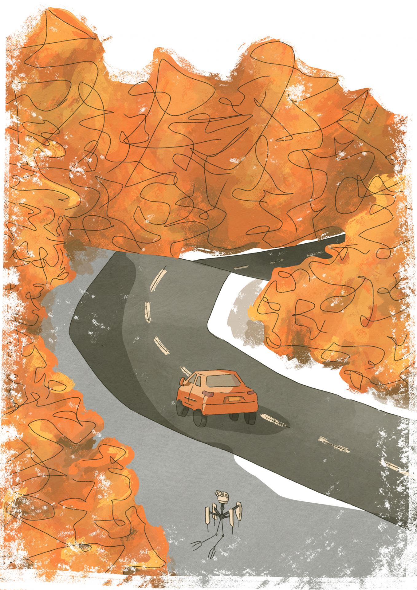 Grace Anderson | Graphic Design 1