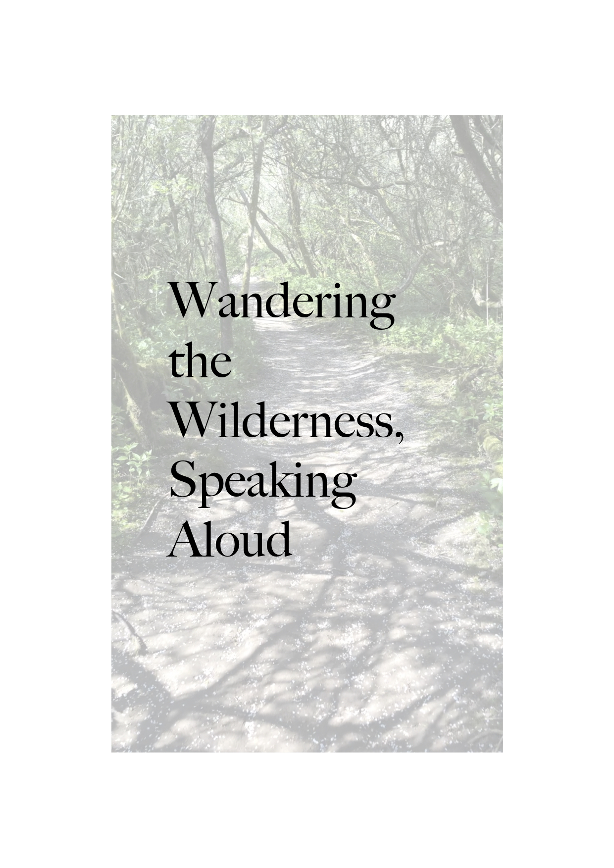 Molly Clark | Pre-degree & Foundation Studies 1