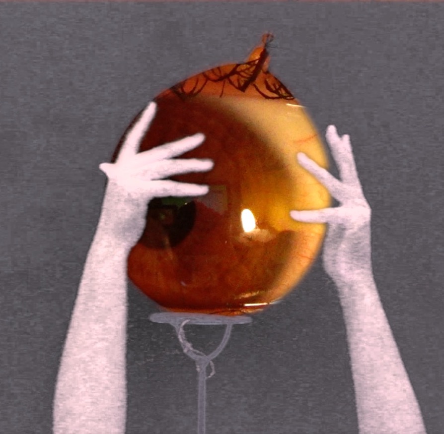 Darcy Brenna Fox-Williams | Fine Art 6