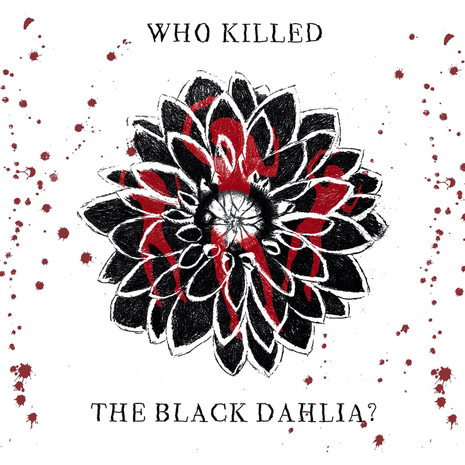 Tom Clayson | Pre-degree & Foundation Studies 2