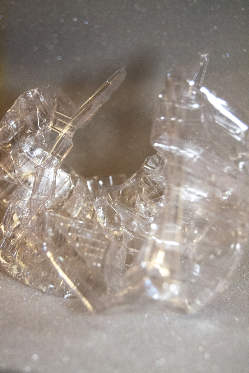 Xena Rose Mounteney | Photography 4