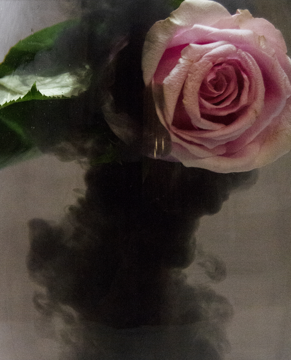 Xena Rose Mounteney | Photography 2