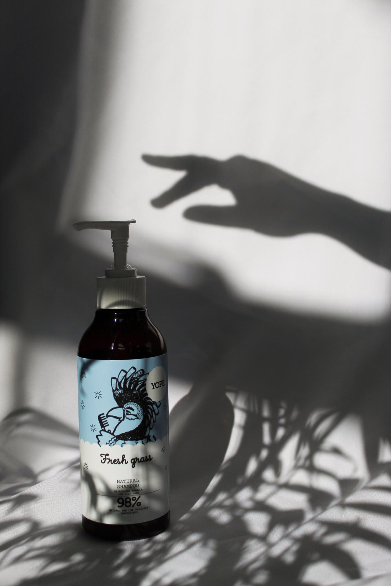 Agnieszka Mrowka | Fashion 4