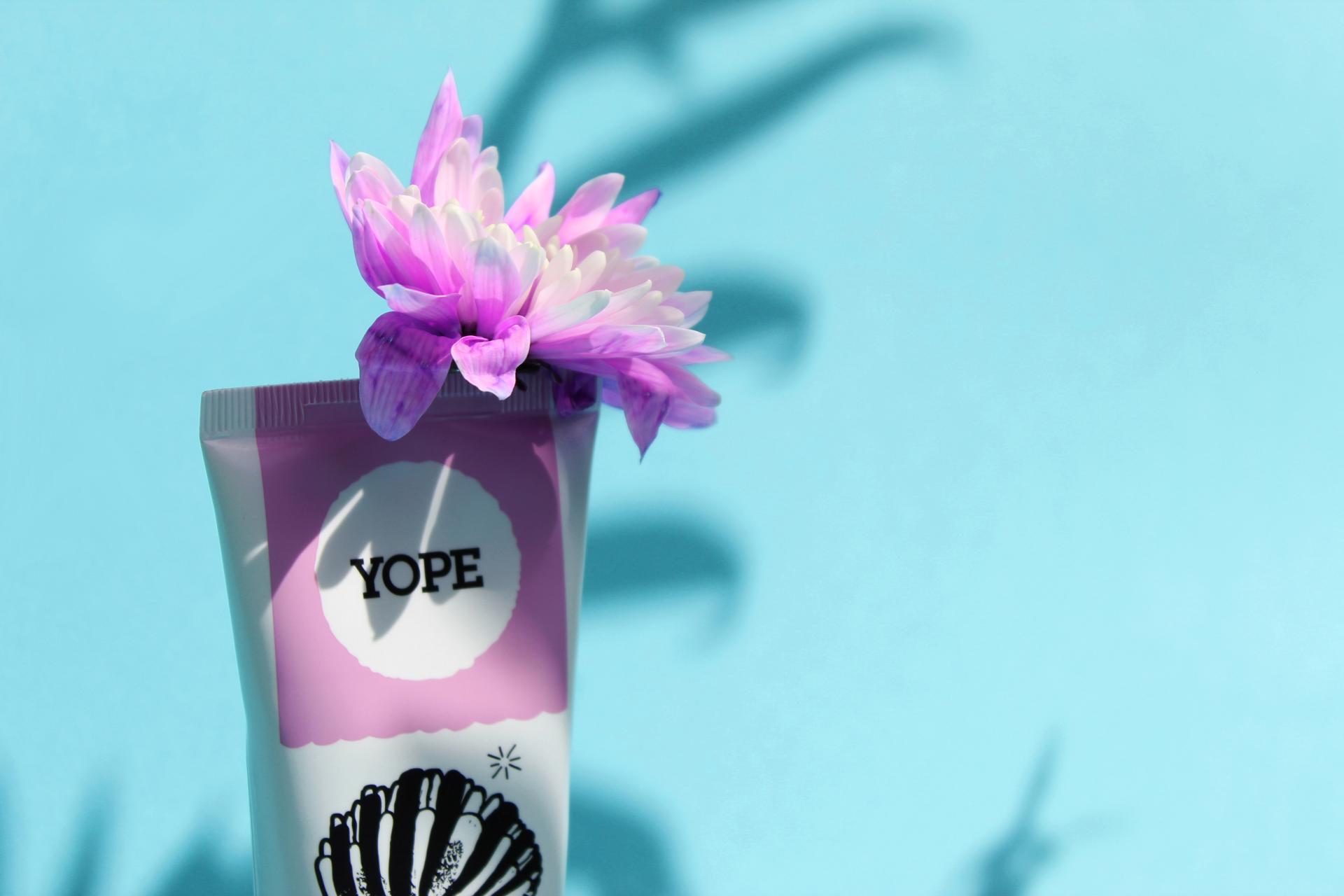 Agnieszka Mrowka | Fashion 3