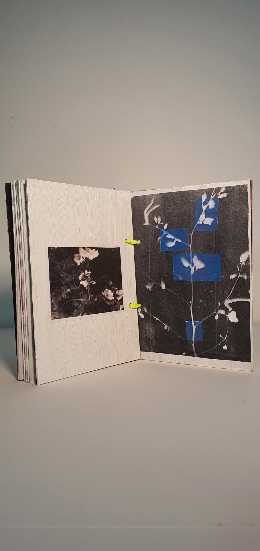 Dolly Chivers-Wenderlish | Pre-degree & Foundation Studies 4