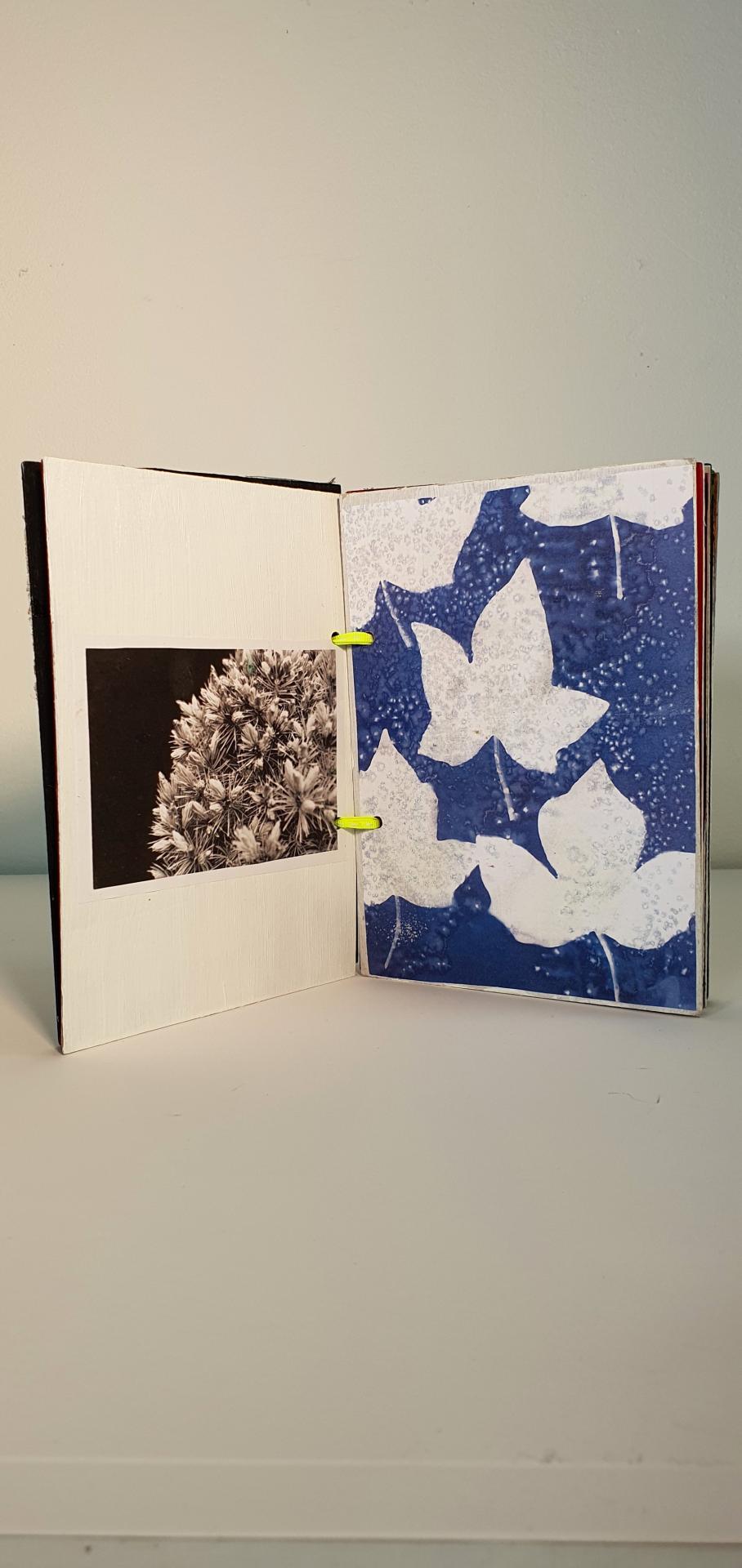 Dolly Chivers-Wenderlish | Pre-degree & Foundation Studies 3