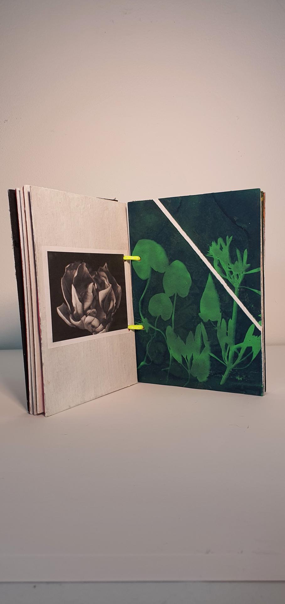 Dolly Chivers-Wenderlish | Pre-degree & Foundation Studies 1