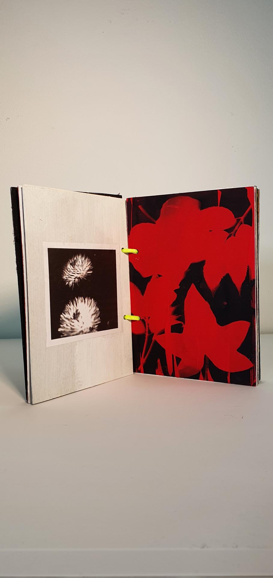 Dolly Chivers-Wenderlish | Pre-degree & Foundation Studies