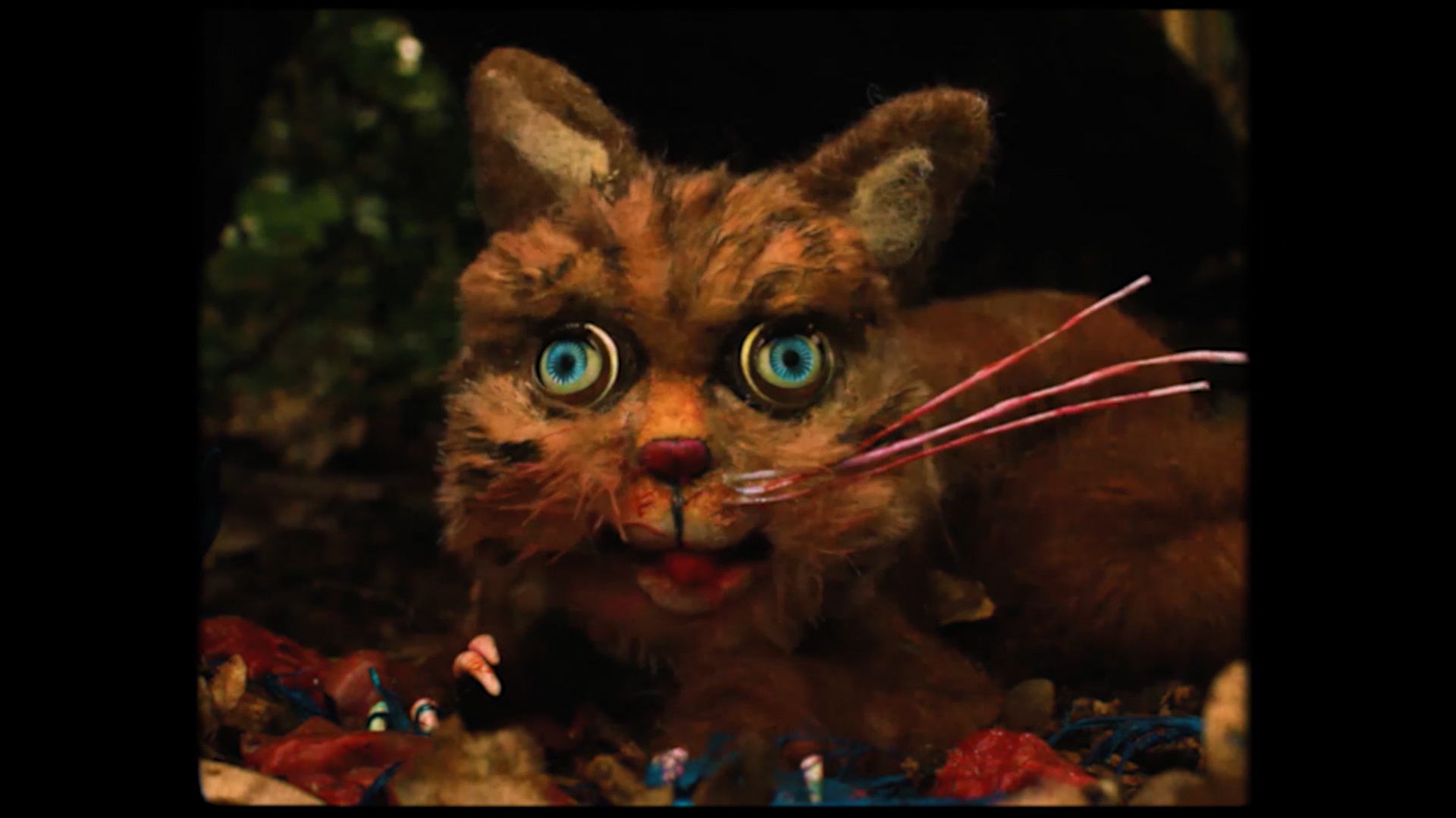 Molly Mayhew | Animation 2