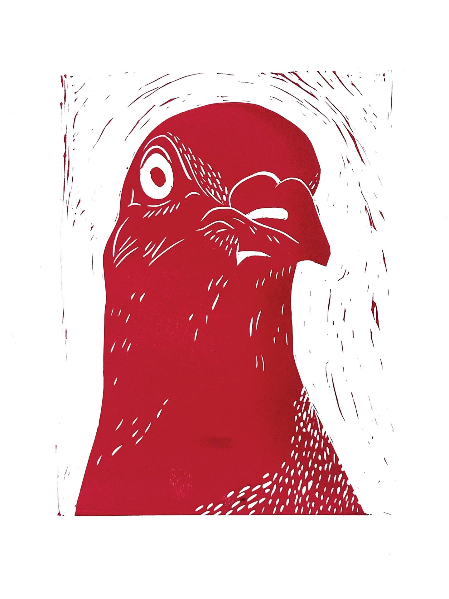 Imogen Martin | Pre-degree & Foundation Studies 1