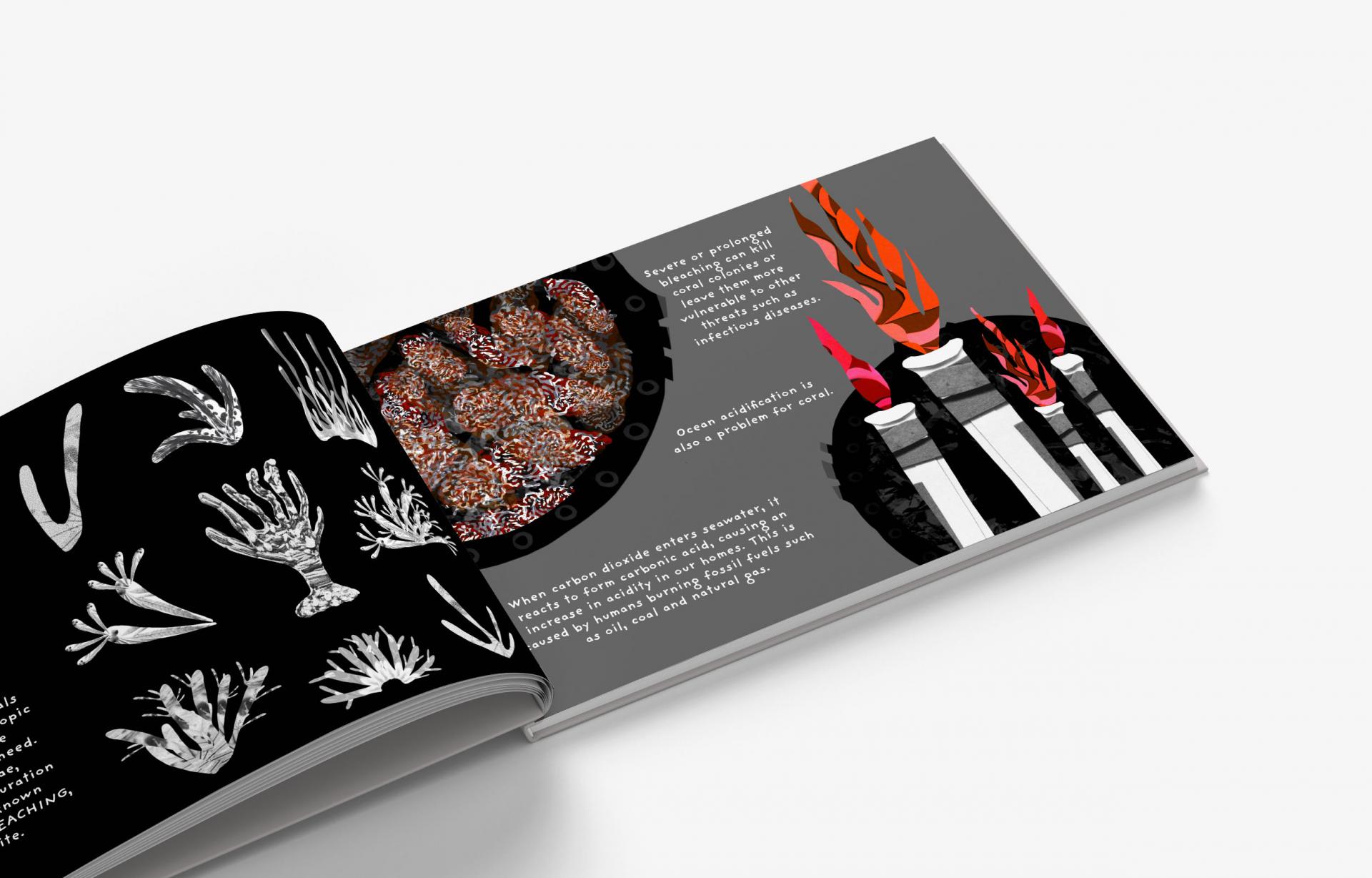 Lucy Munt | Illustration 2