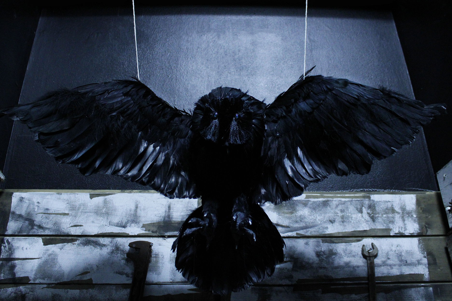 Chloe Vince | Fine Art 4