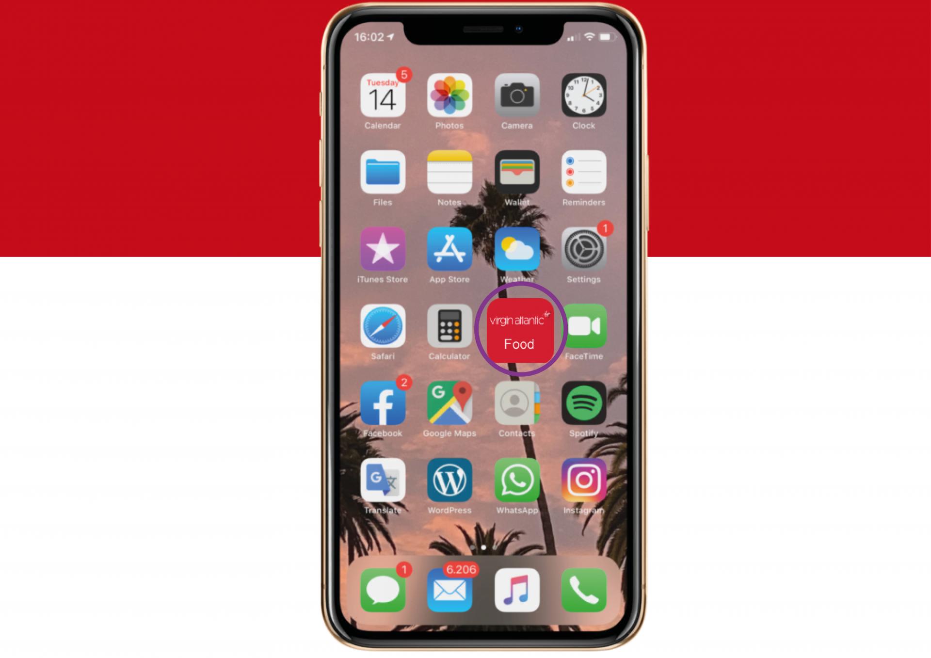 Habiba Wushishi | Business & Management 1