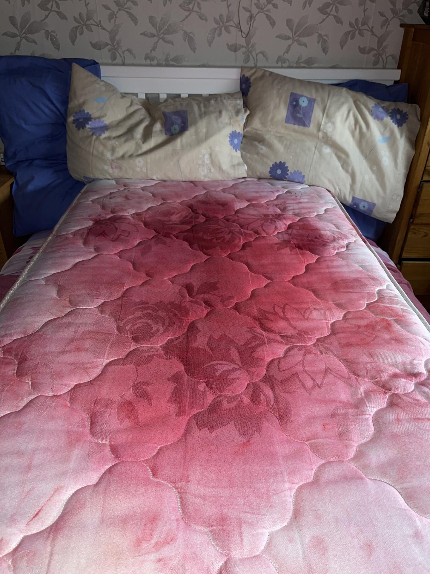 Cristina Teixeira | Fine Art 1