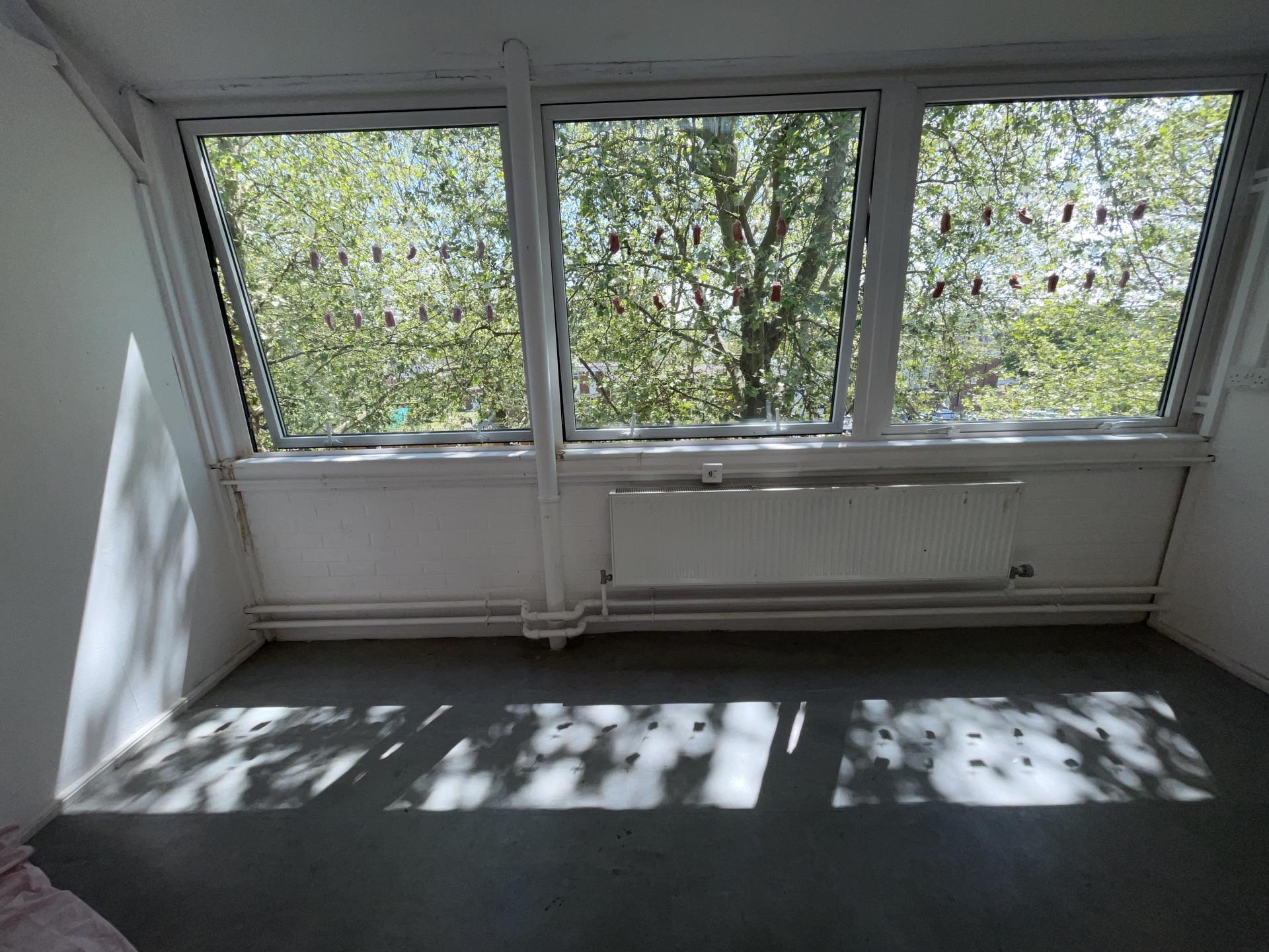 Cristina Teixeira | Fine Art