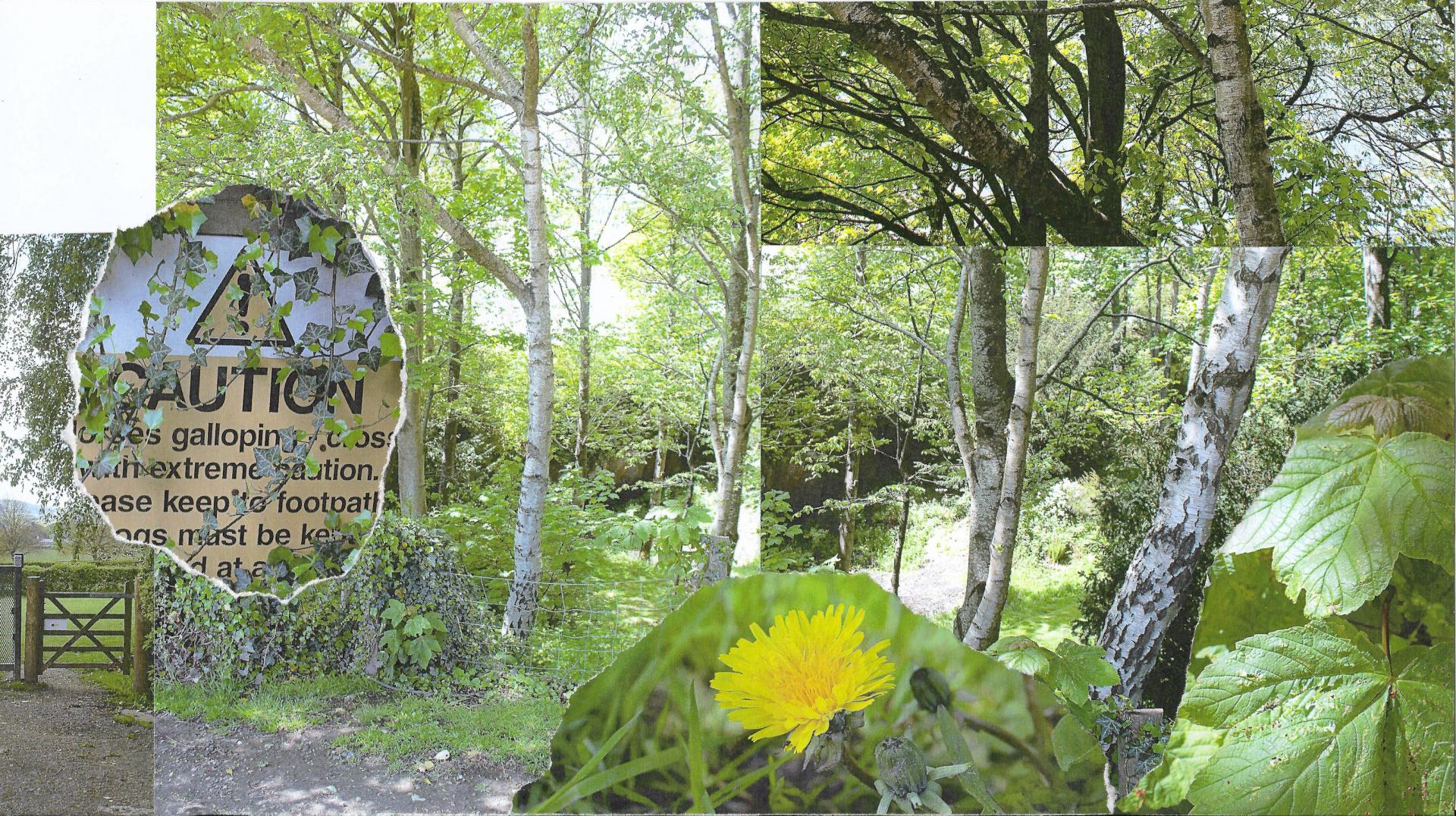 Izzy Sherlock-Fuidge | Photography 3