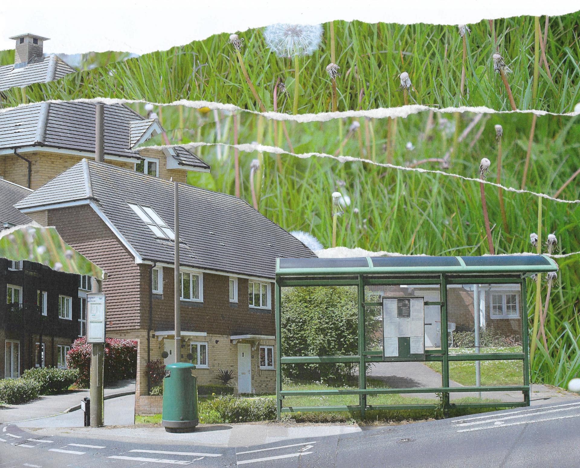 Izzy Sherlock-Fuidge | Photography 2