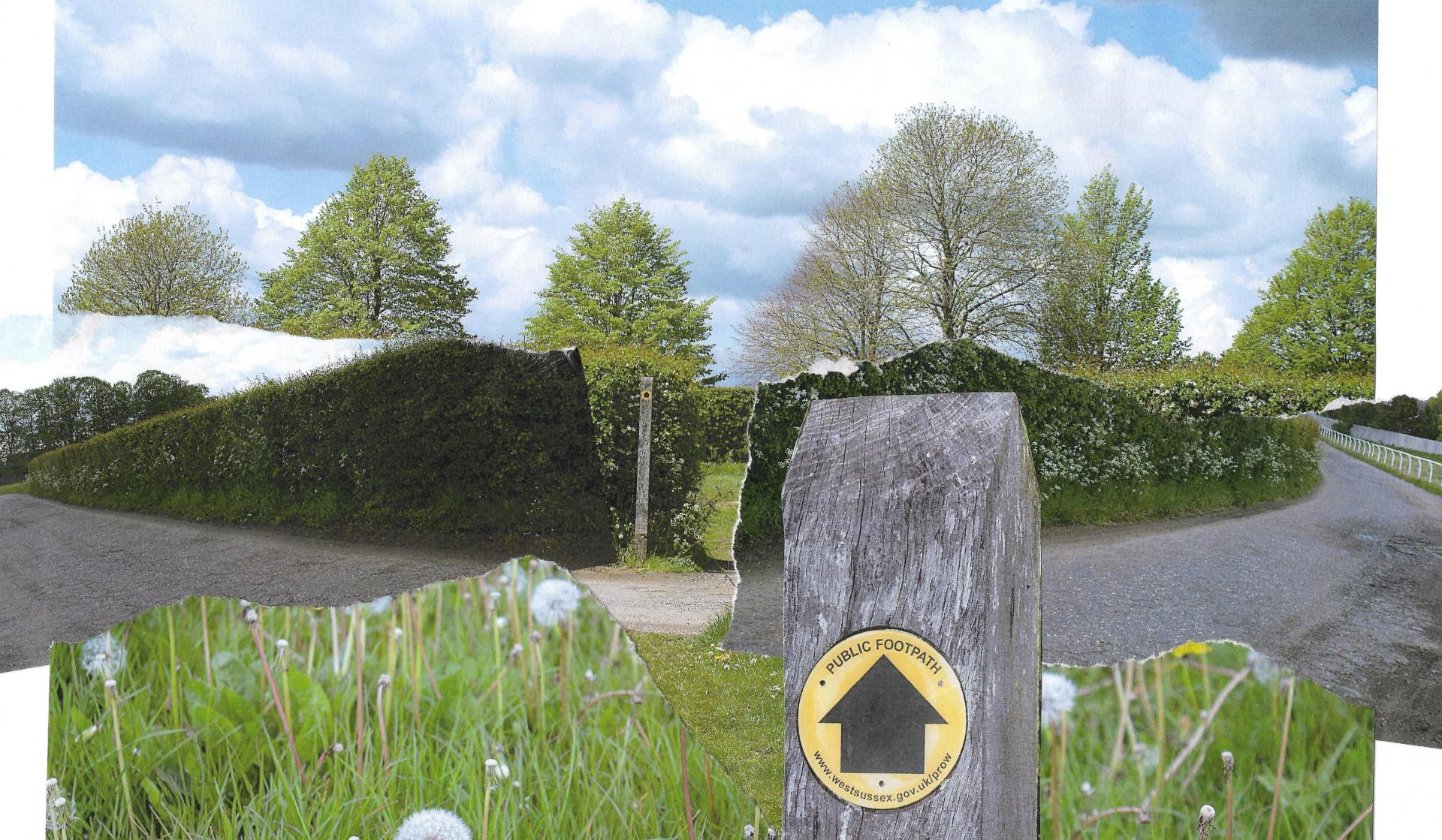 Izzy Sherlock-Fuidge | Photography