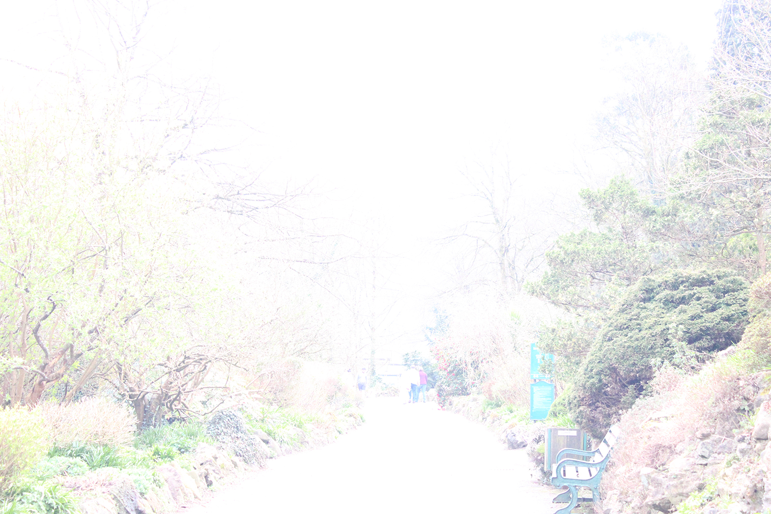 Heather Tonkin | Photography 1