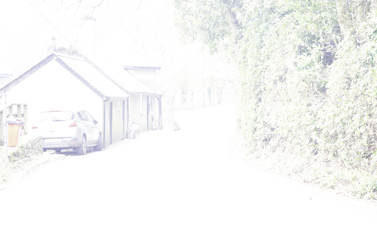 Heather Tonkin | Photography 5