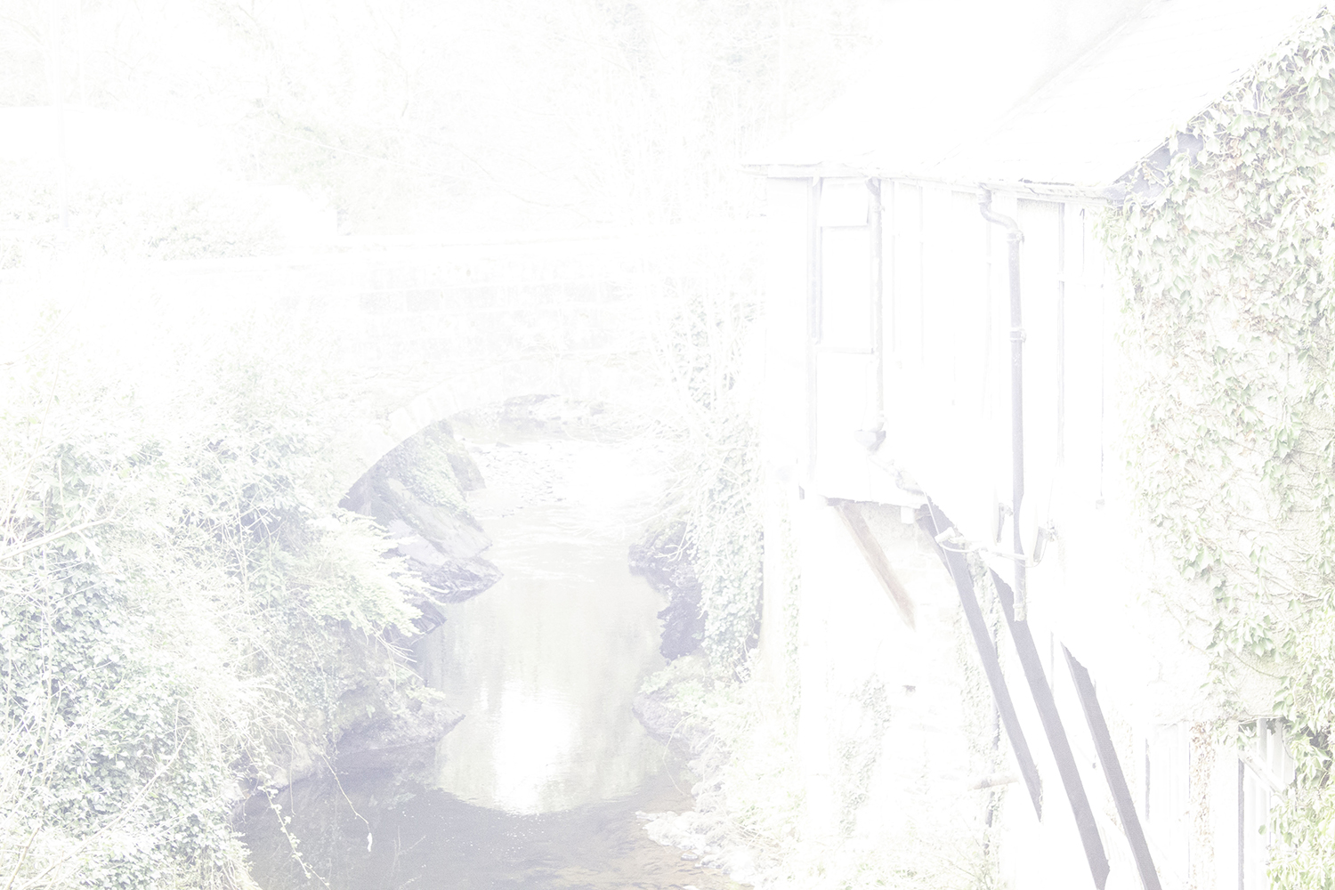 Heather Tonkin | Photography 4