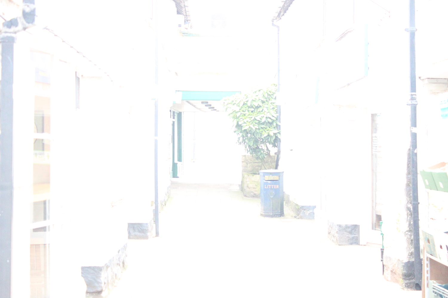 Heather Tonkin | Photography 3