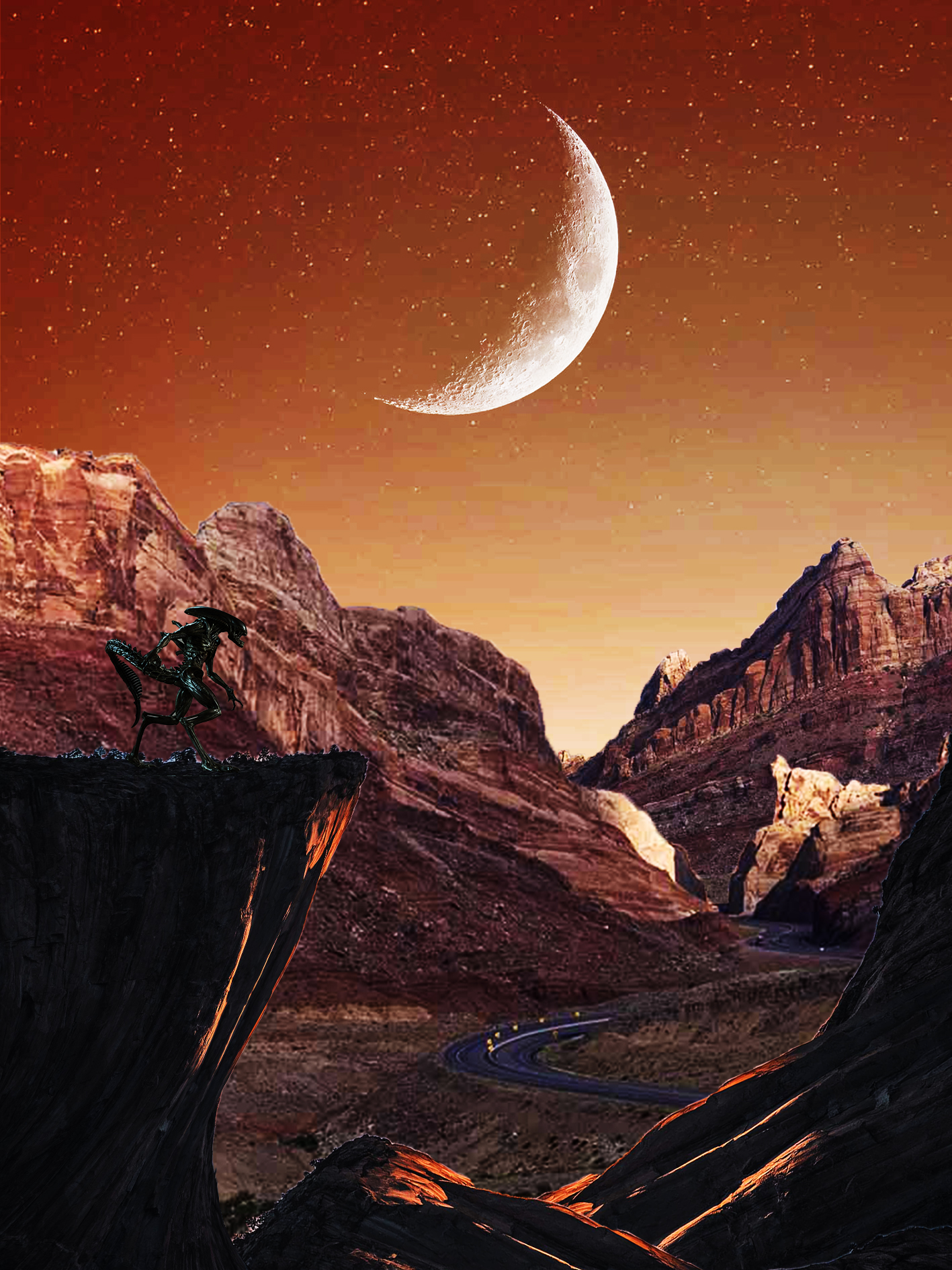 Danny Beard | Pre-degree & Foundation Studies