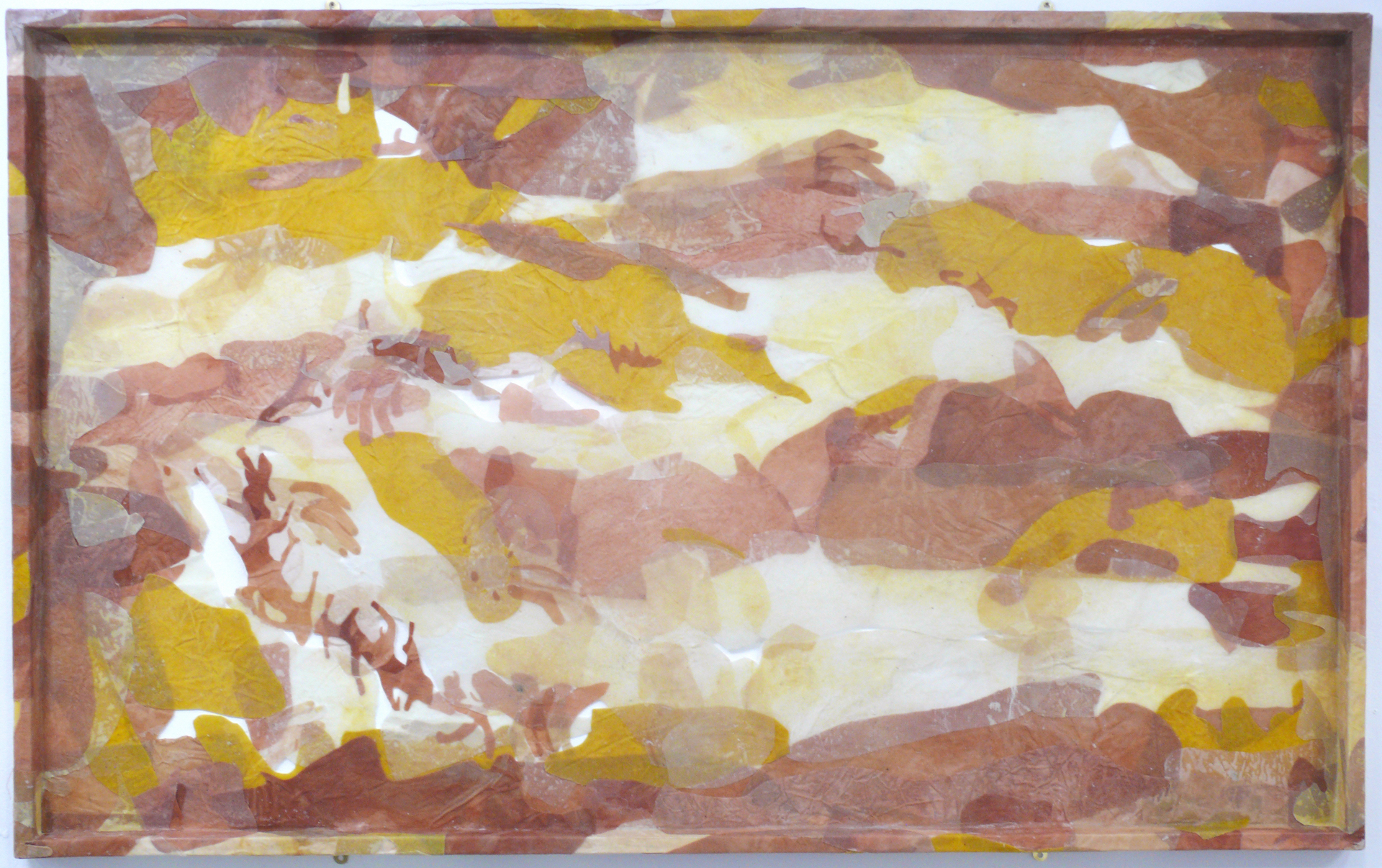 Coral Pryke-Syrett | Fine Art