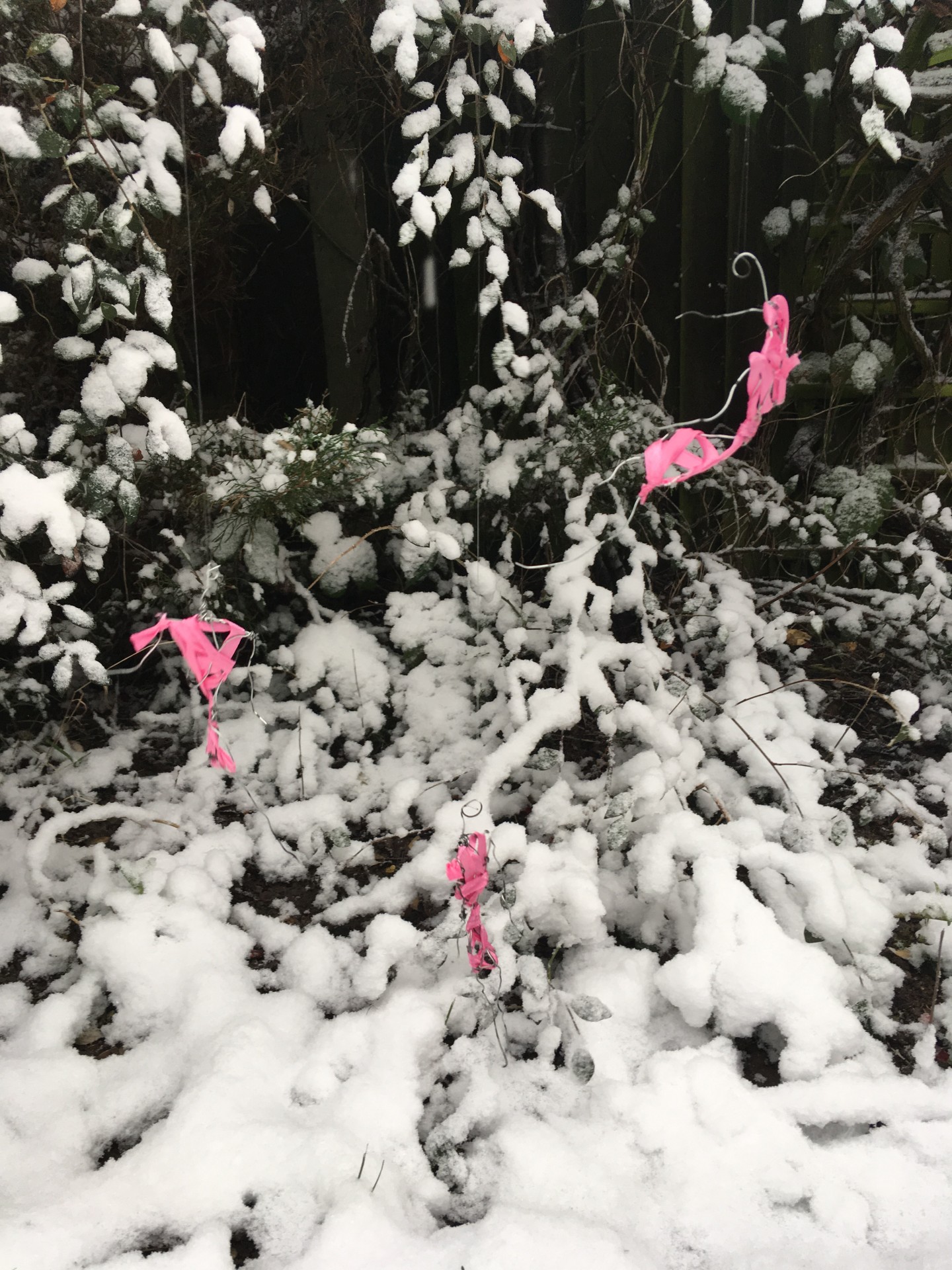 Ela Koyuncu | Pre-degree & Foundation Studies 5