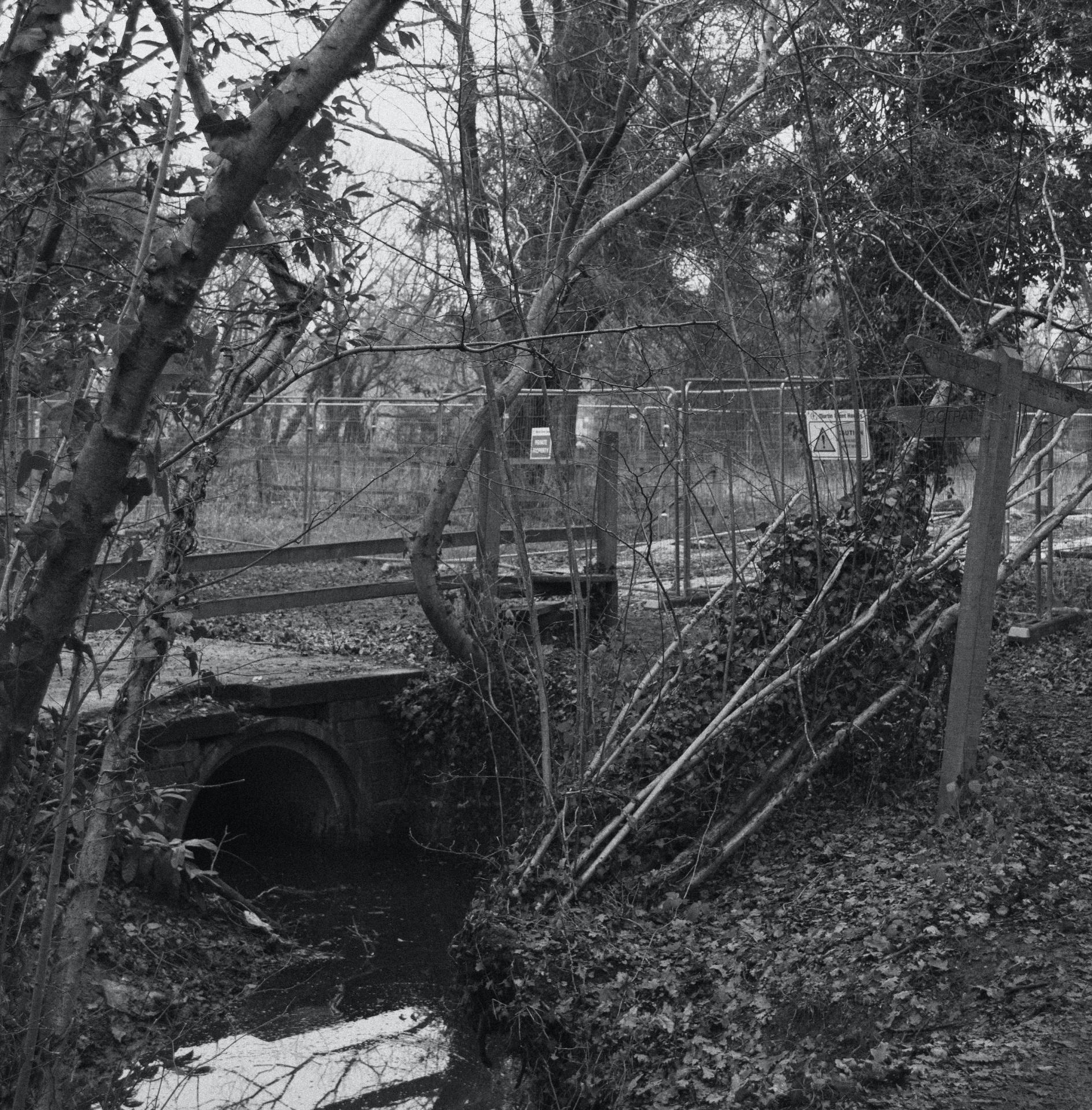 Tom Murphy | Photography 4