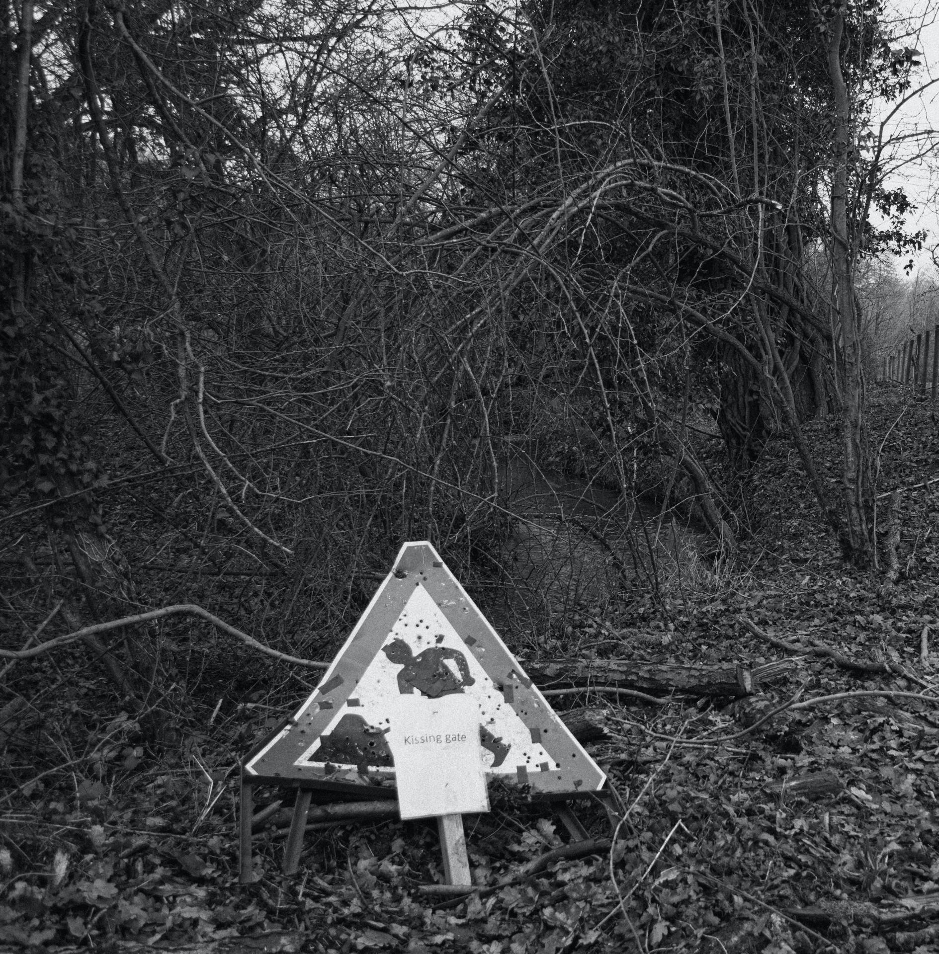 Tom Murphy | Photography 1