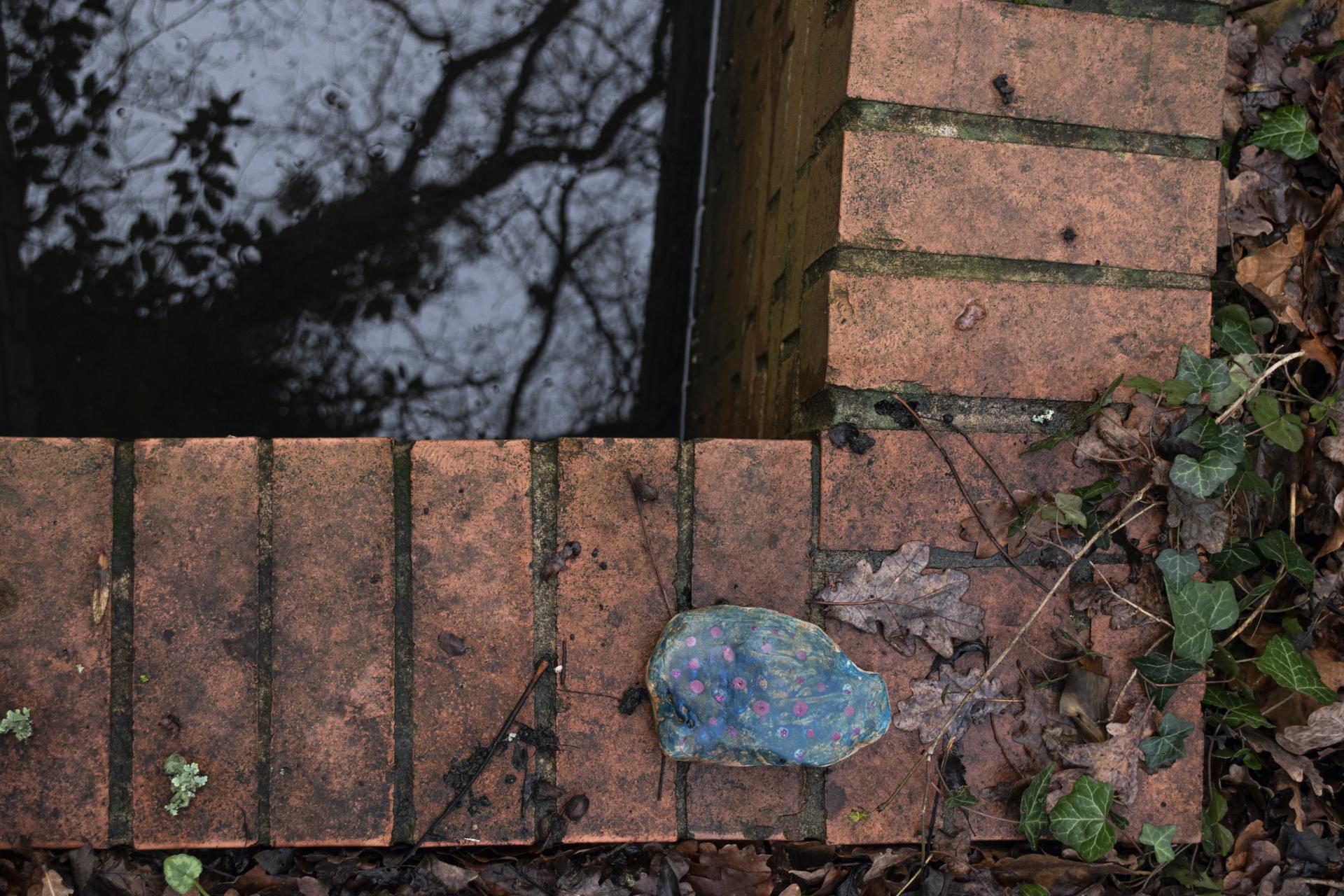 Tom Murphy | Photography 5