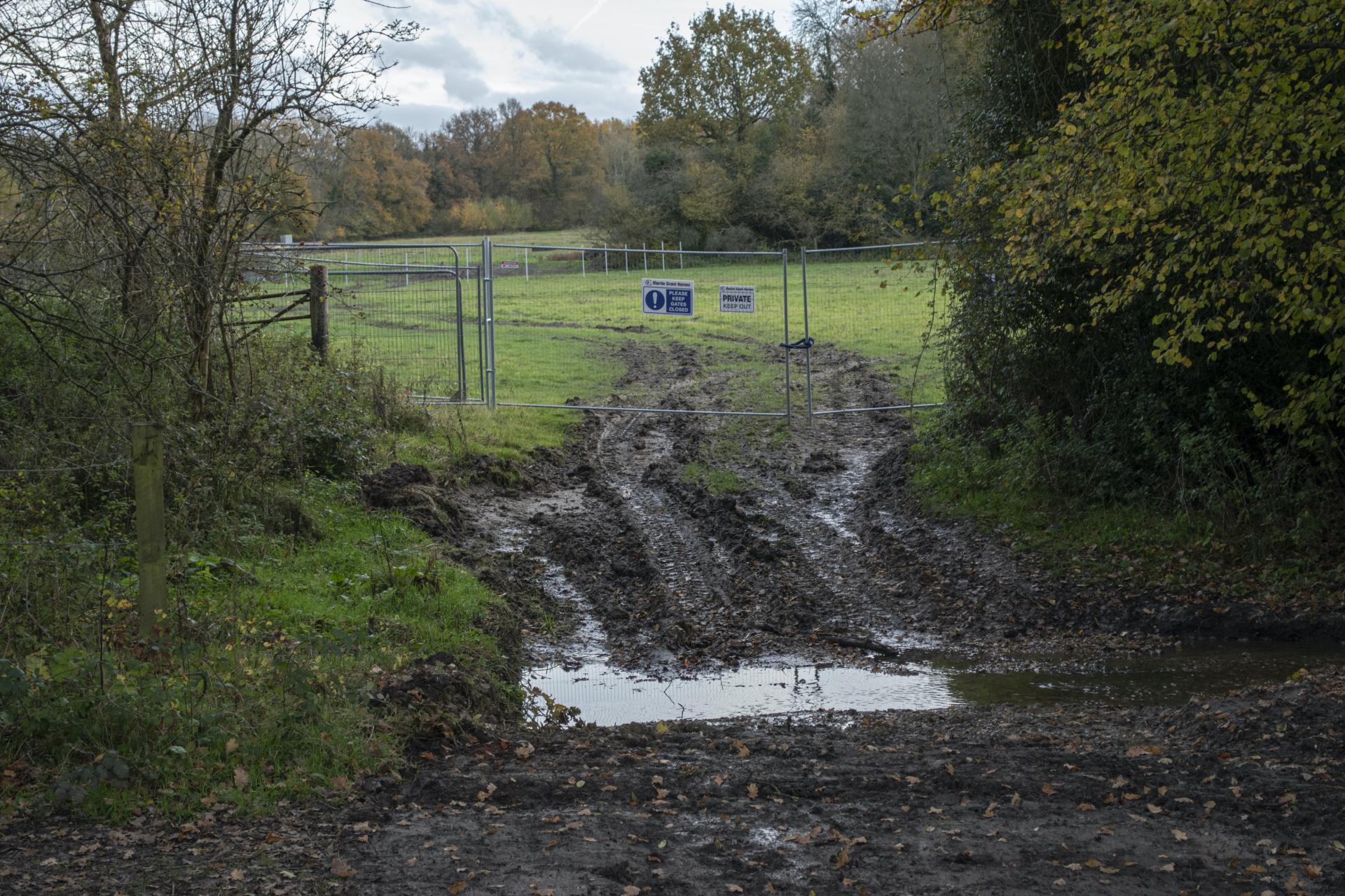 Tom Murphy | Photography