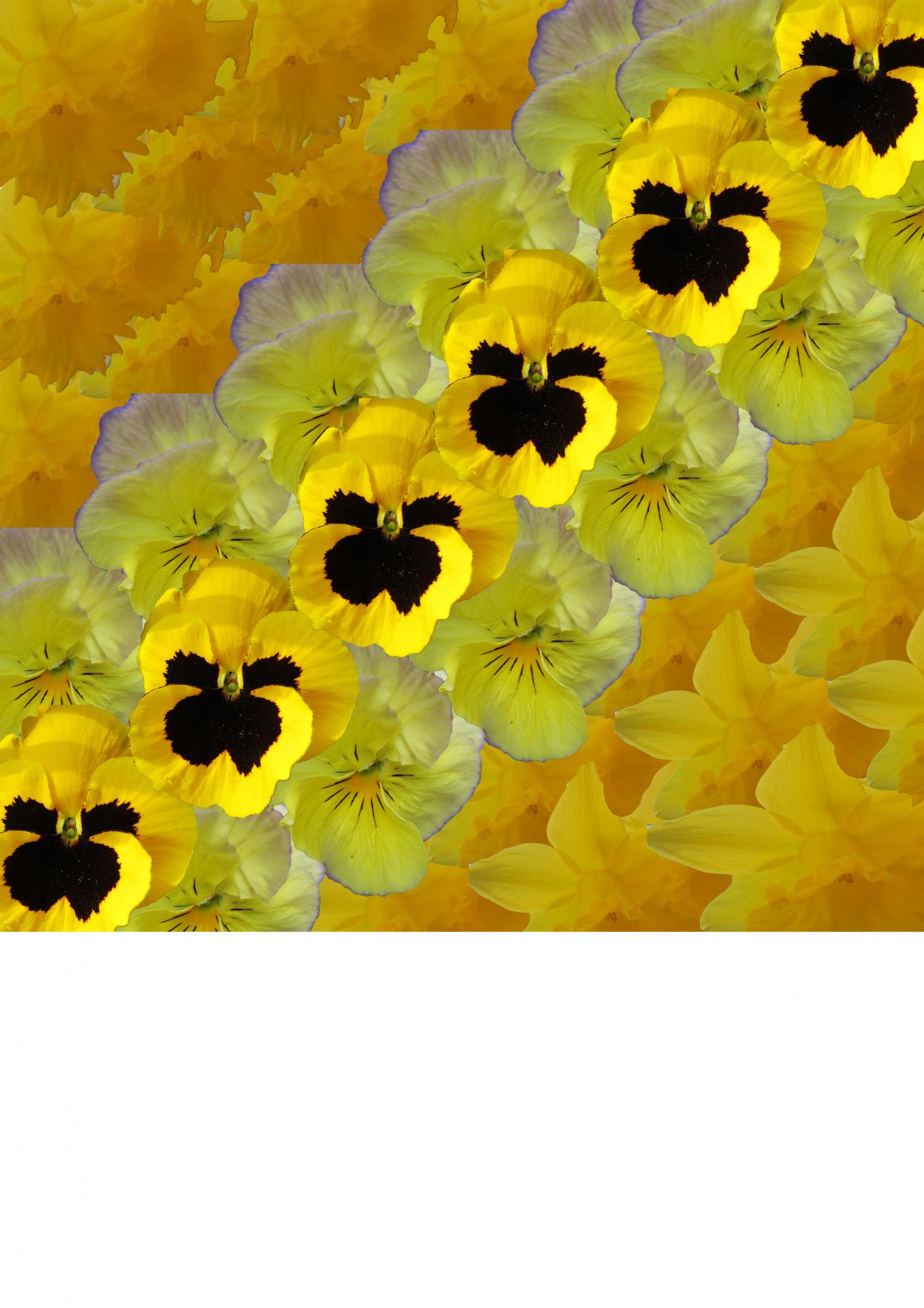 Rosanna Edge | Textiles 2