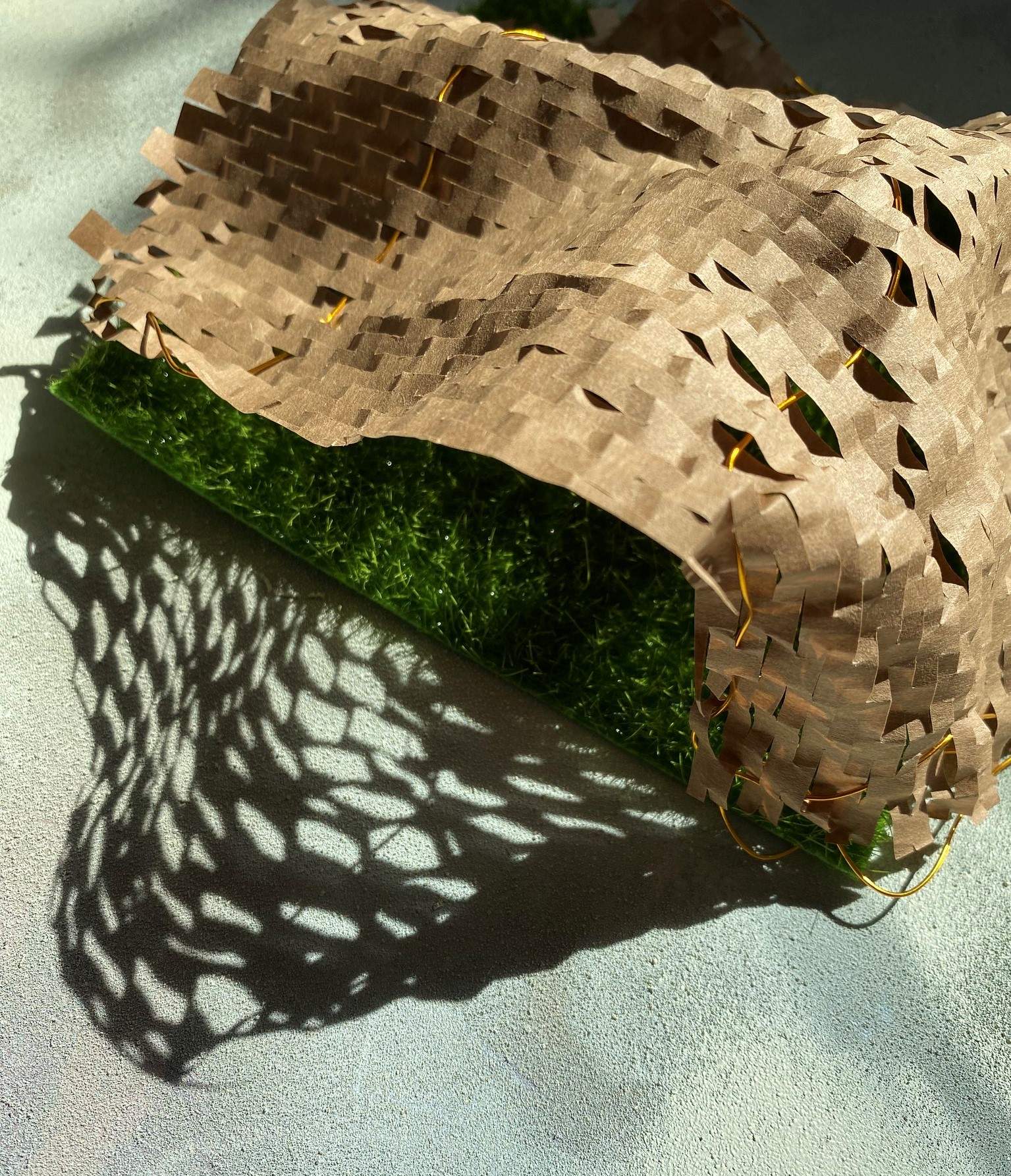 Triantafyllia Panagopoulou | Pre-degree & Foundation Studies